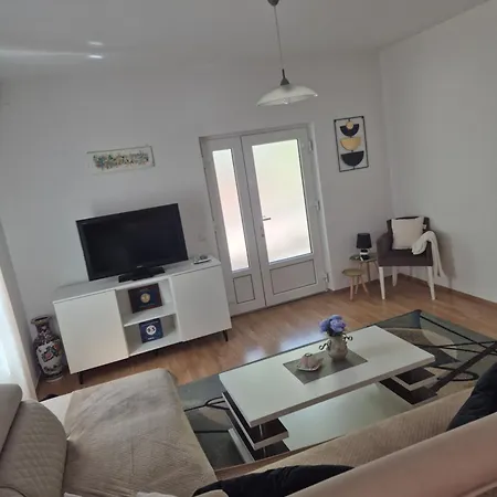 Katica מוסטר